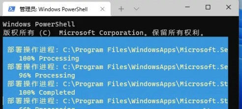 Win11精简版怎么恢复应用商店？Win11精