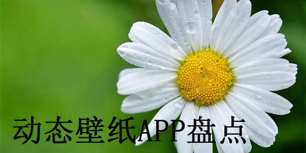 动态壁纸APP盘点